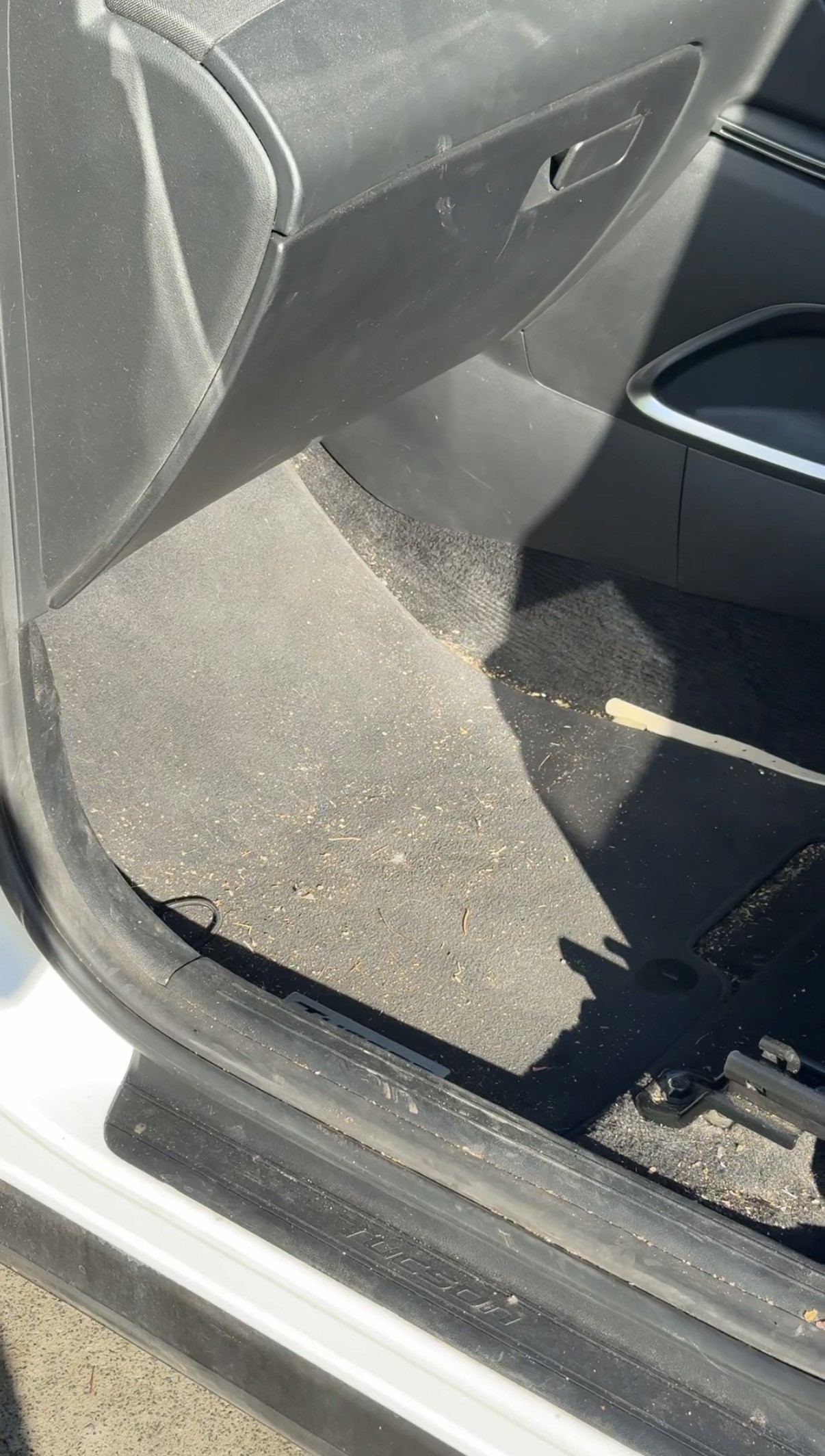 Before professional detail